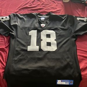 Randy moss Raiders Reebok jersey